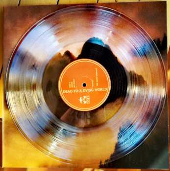 2LP Dead To A Dying World: Elegy LTD | CLR