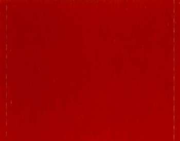 CD Deathfist: Too Hot To Burn