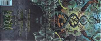 CD/Box Set Decrepit Birth: Axis Mundi LTD | NUM