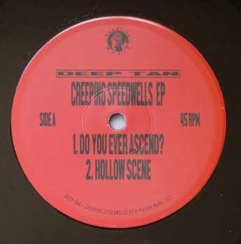 LP Deep Tan: Creeping Speedwells