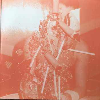 2LP Deerhunter: Microcastle / Weird Era Cont.