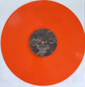 LP Delia Meshlir: Bring Back The Light CLR | LTD