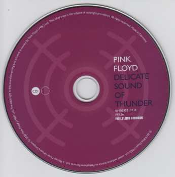 2CD Pink Floyd: Delicate Sound Of Thunder DIGI