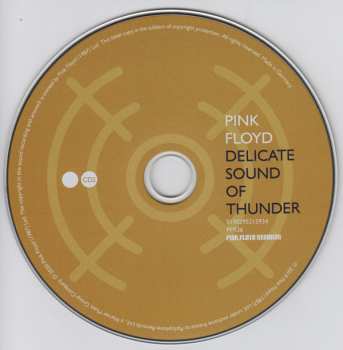 2CD Pink Floyd: Delicate Sound Of Thunder DIGI