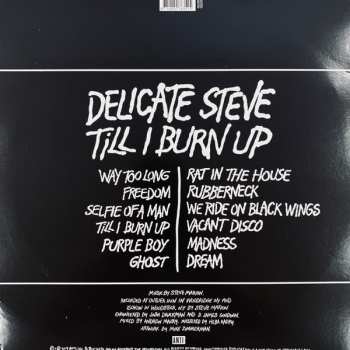 LP Delicate Steve: Till I Burn Up