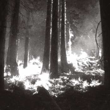 CD Den Sorte Død: Undergangen
