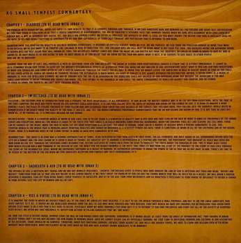 LP Dens: No Small Tempest LTD | CLR