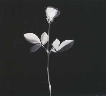 CD/DVD Depeche Mode: Violator