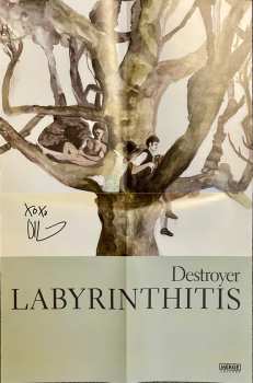 LP Destroyer: Labyrinthitis