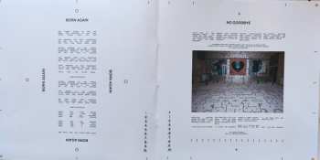 LP Di-Rect: Wild Hearts