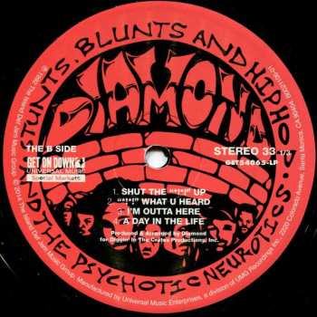 2LP Diamond D: Stunts, Blunts, & Hip Hop