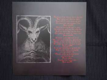 LP Diavolos: You Lived Now Die