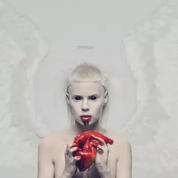 Die Antwoord: Ten$ion
