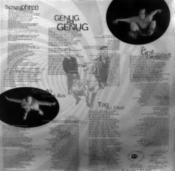 LP Die Fantastischen Vier: Die 4. Dimension