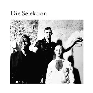 Die Selektion: Die Selektion
