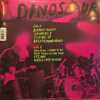 LP Dinosaur Jr.: Beyond LTD | CLR