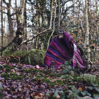 LP Dinosaur: Wonder Trail LTD