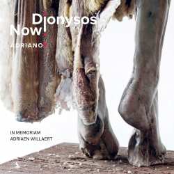Album Dionysos Now!: Adriano 5