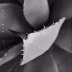 2LP Dirk Serries: Epitaph LTD | NUM