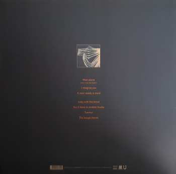 LP Tindersticks: Distractions LTD | CLR