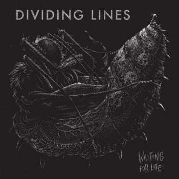 LP Dividing Lines: Waiting For Life