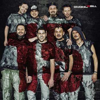 LP Divokej Bill: 15