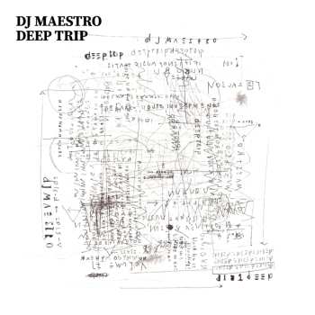 CD DJ Maestro: Deep Trip