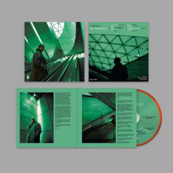 Album DJ Seinfeld: If This Is It