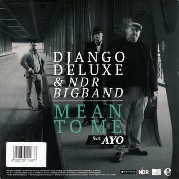 SP Django Deluxe: Stina / Mean To Me