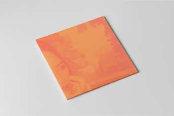2LP DJ Not A DJ: Djnotadj - Deep Roots In Shallow Ground (20th Anniversary Remaster) DLX