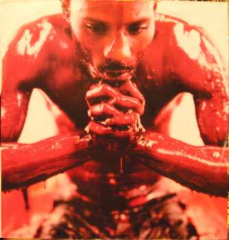 2LP DMX: Flesh Of My Flesh Blood Of My Blood CLR