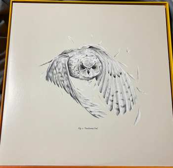 10LP/Box Set Doctor Who: Hornets' Nest CLR | LTD