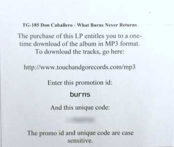 2LP Don Caballero: What Burns Never Returns