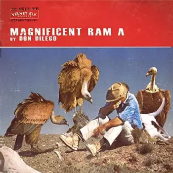 Magnificent Ram A