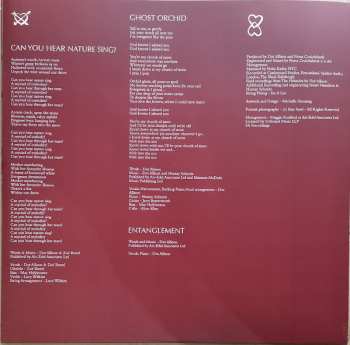 2LP Dot Allison: Heart-Shaped Scars