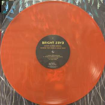 2LP Bright Eyes: Down In The Weeds, Where The World Once Was LTD | CLR