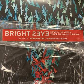 2LP Bright Eyes: Down In The Weeds, Where The World Once Was LTD | CLR
