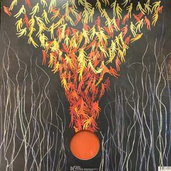 2LP Bright Eyes: Down In The Weeds, Where The World Once Was LTD | CLR