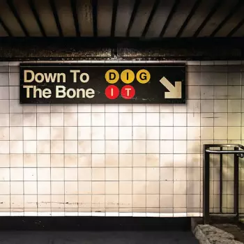 Down To The Bone: Dig It