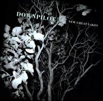 LP Downpilot: New Great Lakes