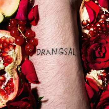 Album Drangsal: Harieschaim