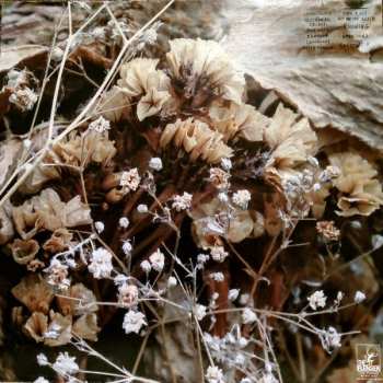 LP Drowse: Cold Air