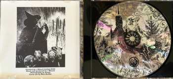 CD Druadan Forest: Dismal Spells Part II - The Night Circus