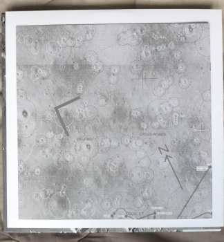 4LP/Box Set Duster: Capsule Losing Contact CLR
