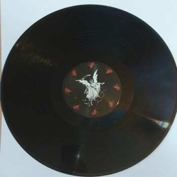 LP DVAR: Piirrah