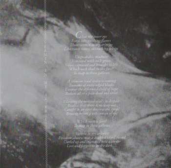 CD Dwell: Vermin and Ashes