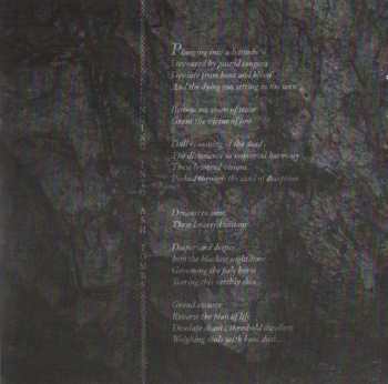 CD Dwell: Vermin and Ashes