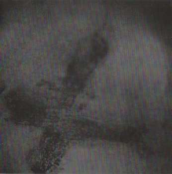 CD Dwell: Vermin and Ashes