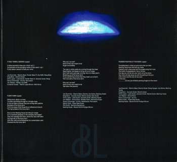 LP Dworniak Bone Lapsa: Fingers Pointing At The Moon