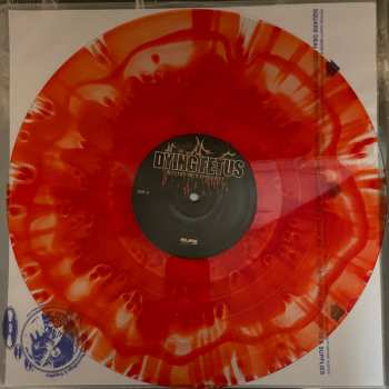 LP Dying Fetus: Descend Into Depravity CLR